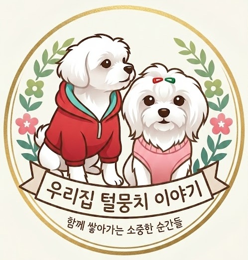 사이트 이름은 team621 입니다.